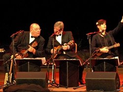 Ukulele Orchestra Of Great Britain * Foto: Hans-Jürgen Lenhart Ukulele Orchestra Of Great Britain * Foto: Hans-Jürgen Lenhart