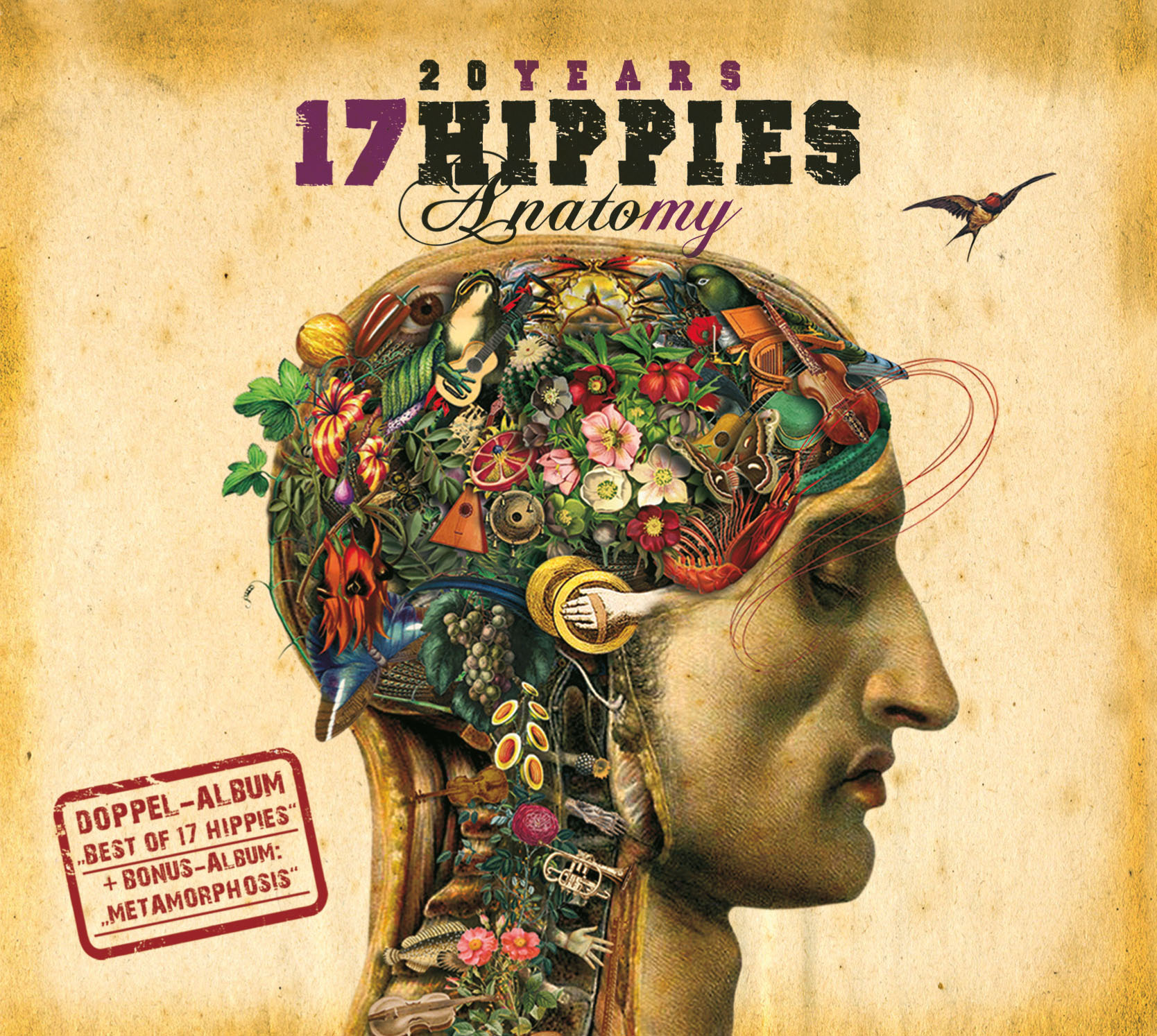 Cover Anatomy Cover Anatomy