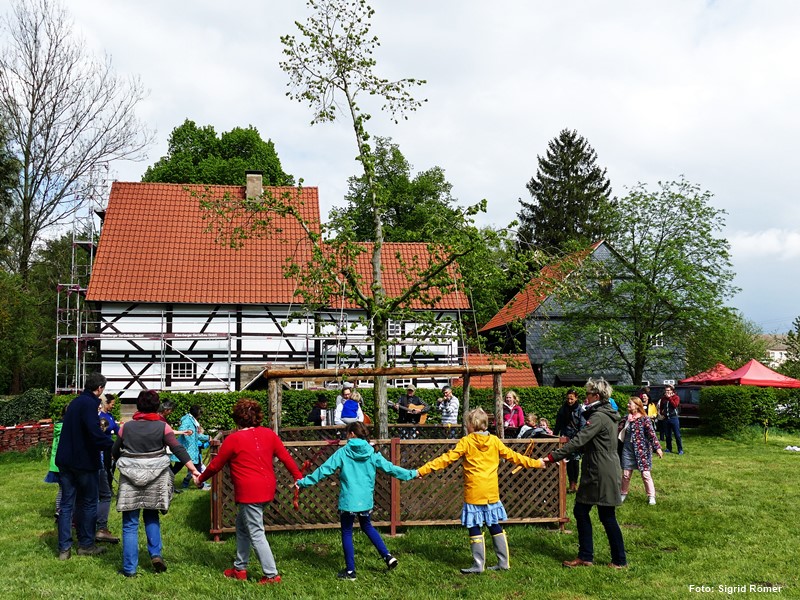 Tanzlinde Rudolstadt 2019 * Foto: Sigrid Römer