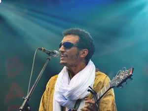 Bombino