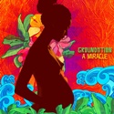  GROUNDATION: A Miracle 